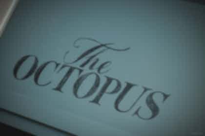 The Octopus 3